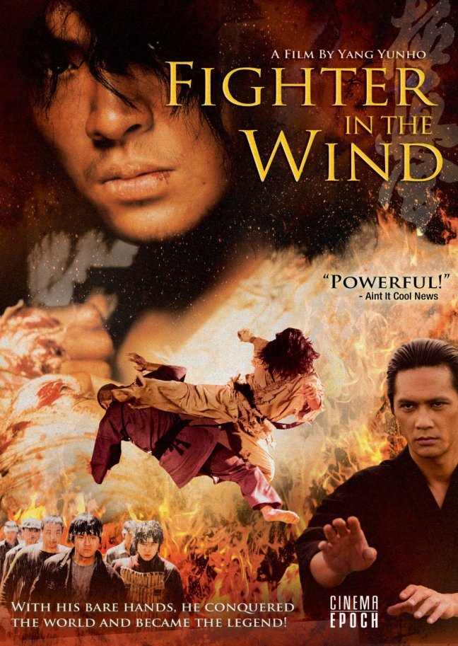 Fighter In the Wind 1